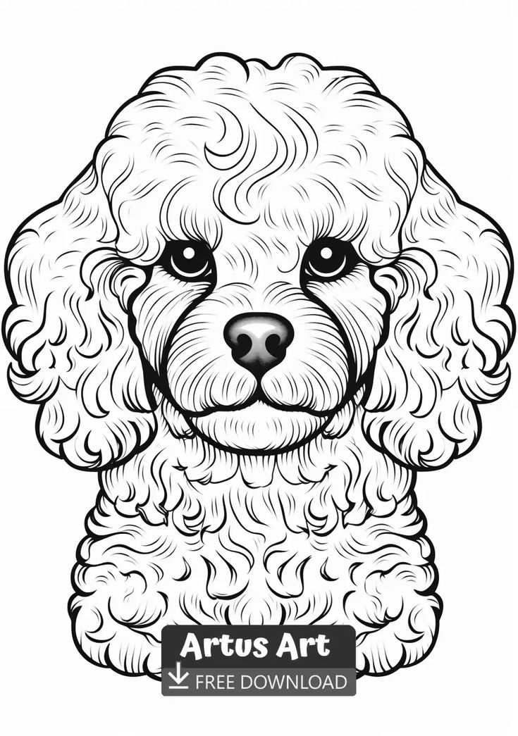 Poodle coloring page for kids monster coloring pages dog coloring page unicorn coloring pages