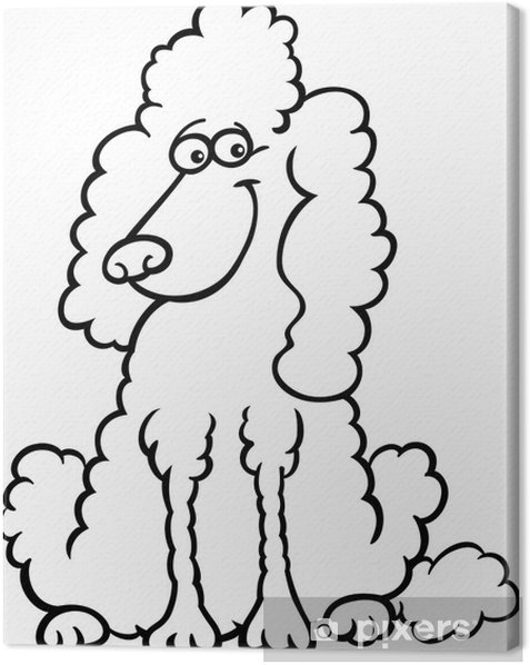 Canvas print poodle dog cartoon for coloring book