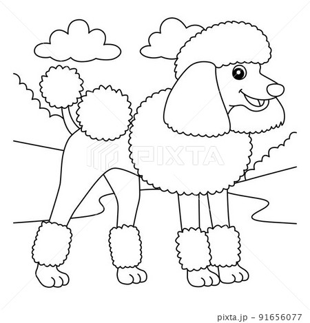 Poodle dog coloring page for kidsãããããç æ