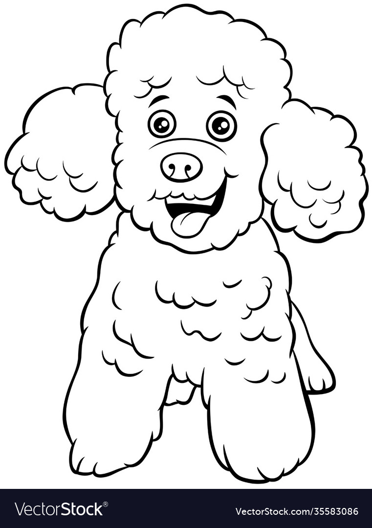 Poodle toy dog cartoon animal character coloring vector image