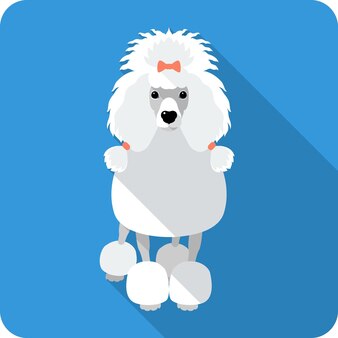 Page poodle dog images