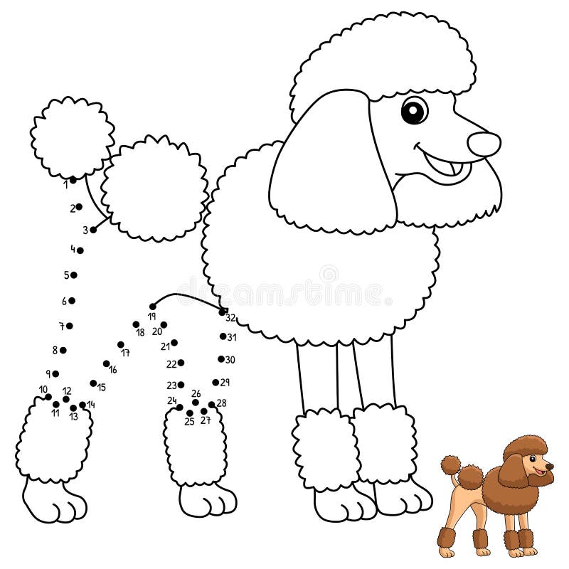 Dot to dot poodle dog isolated coloring page stock vector
