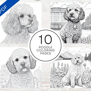 Poodle coloring book