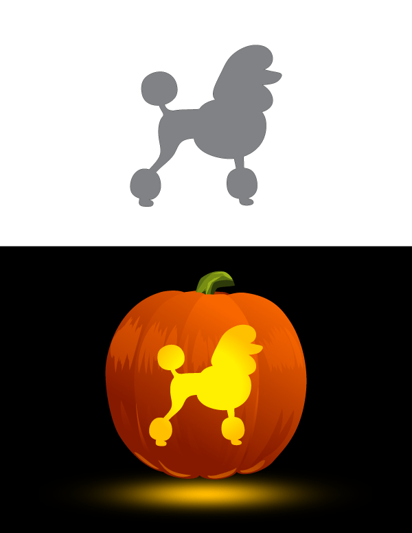 Printable poodle pumpkin stencil