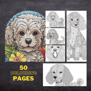 Poodle coloring page