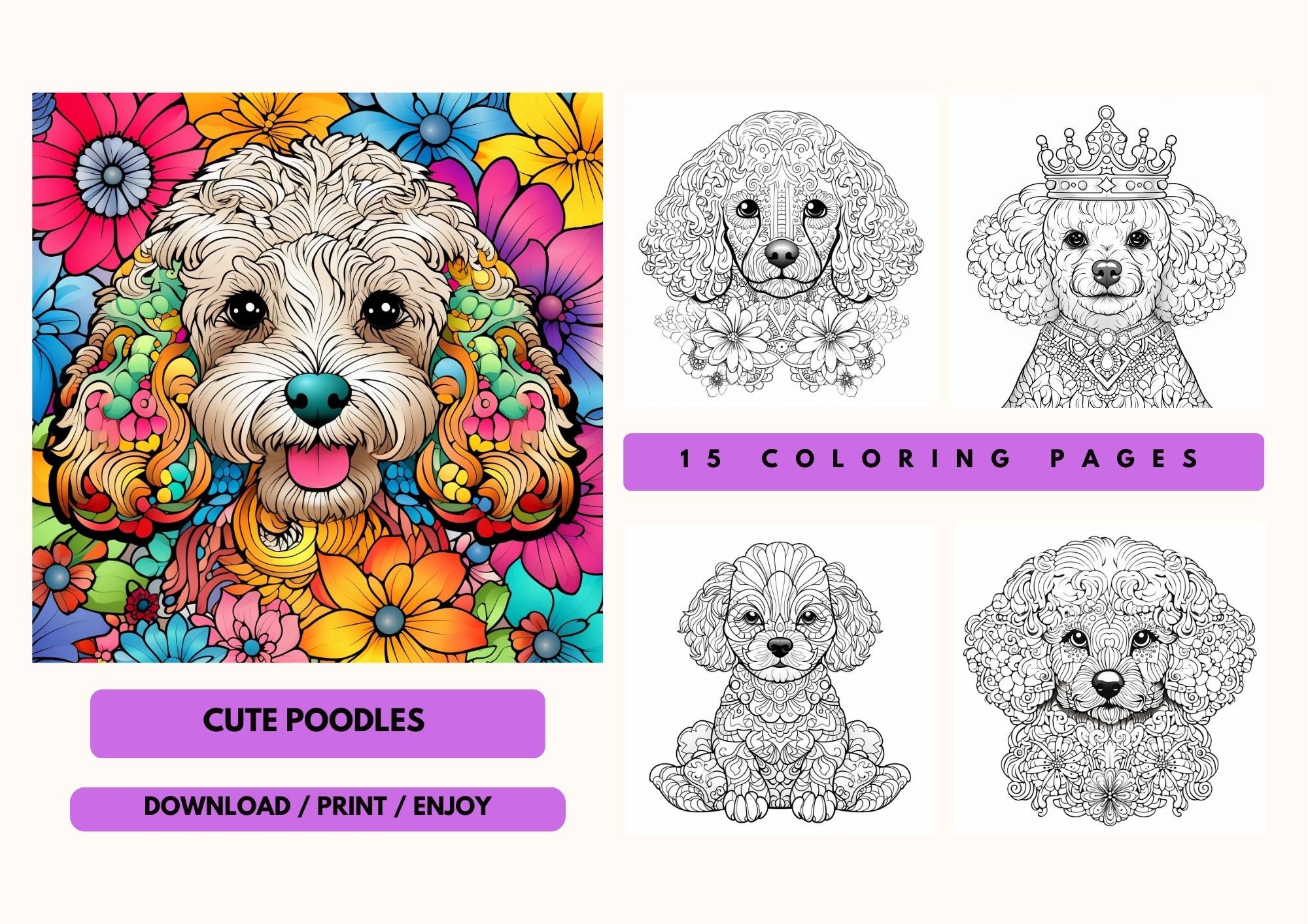 Poodle coloring book