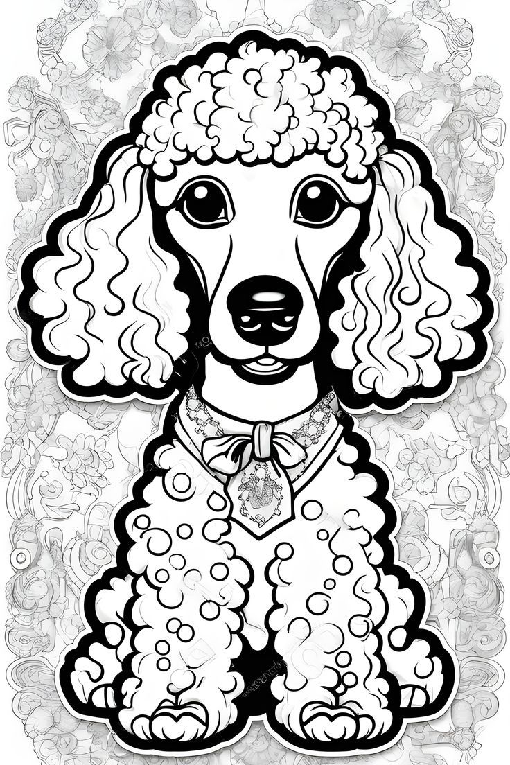 Poodle coloring page coloring pictures coloring pages coloring books