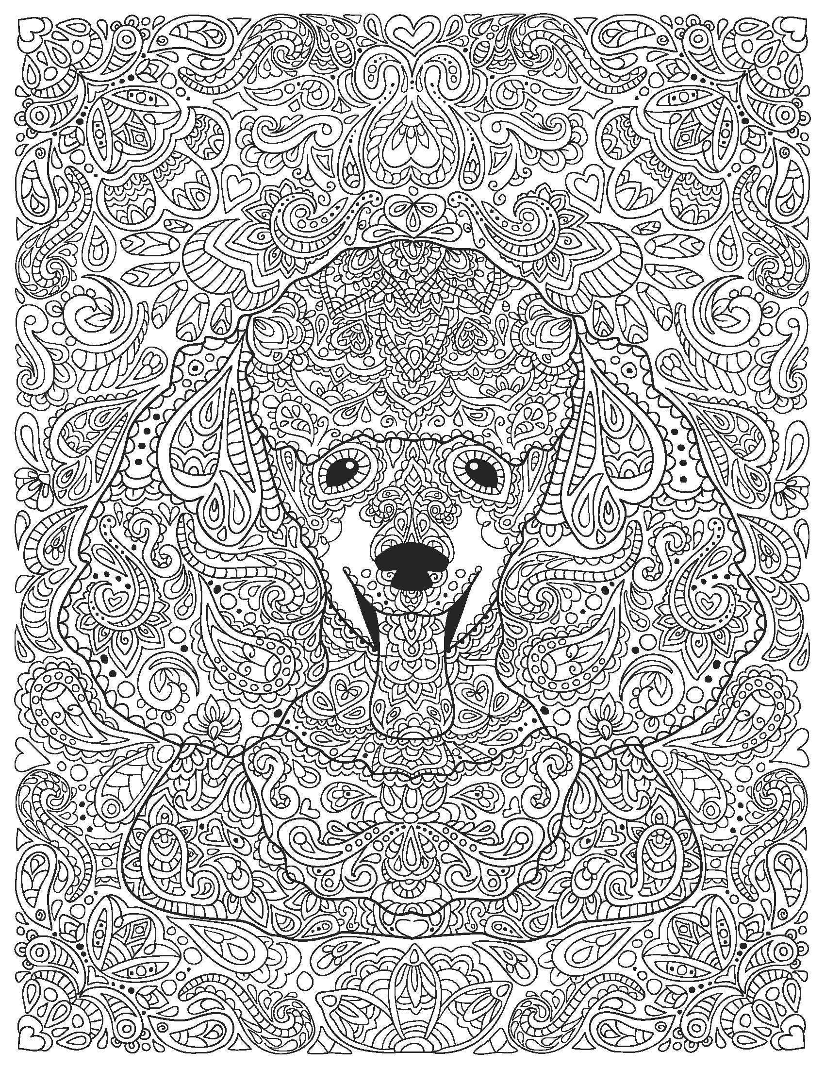 Buy adult coloring page poodle dog instant digital download diy artwork size a letter online in india