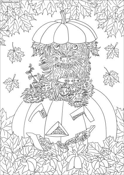 Pin by ðððµñðððð ððððº on halloween coloring pages dog coloring book dog coloring page cat coloring page