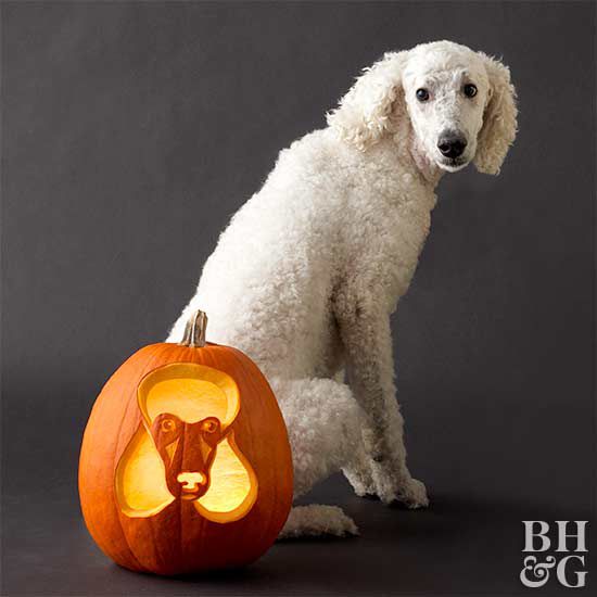Free fun and easy dog pumpkin carving stencils
