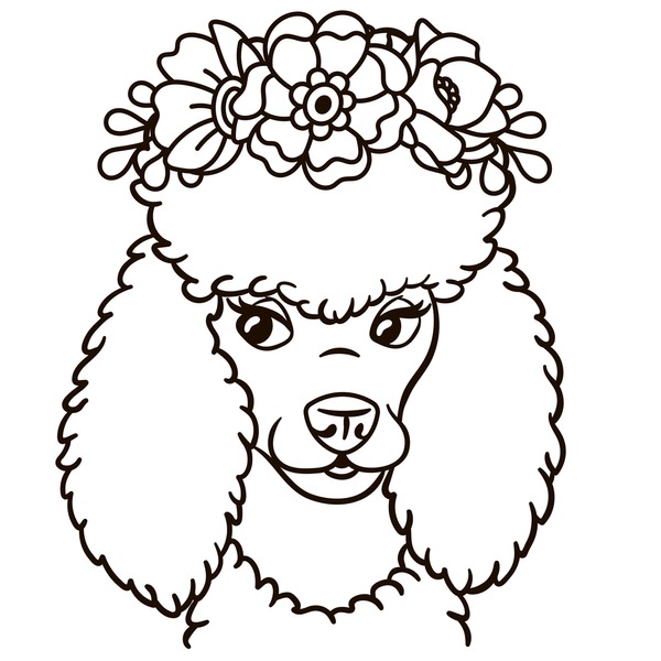 Thousand cartoon poodle outline royalty