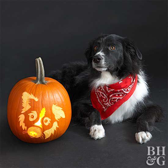 Free fun and easy dog pumpkin carving stencils