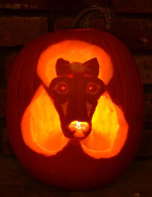 Poodle time poodle out this halloween â meadowtree style