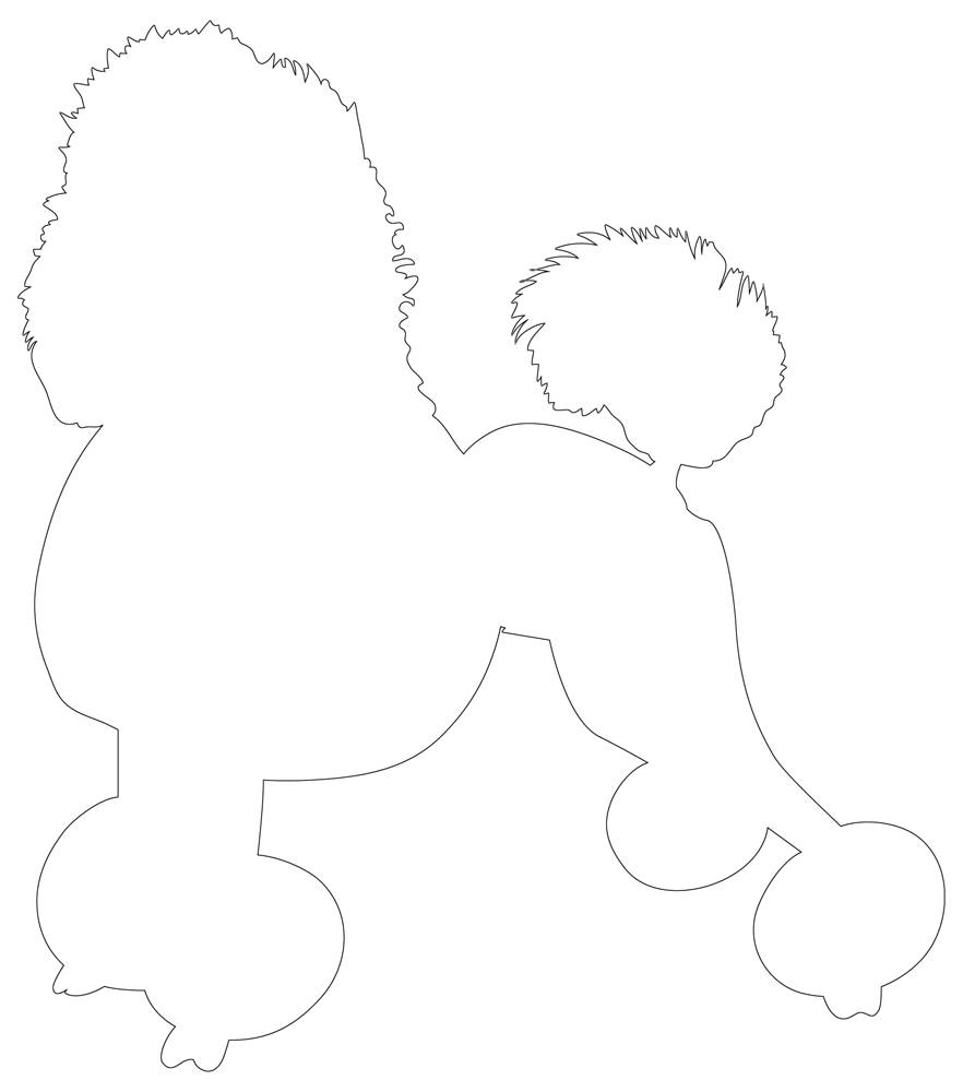 Poodle outline