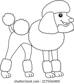 Poodle coloring images stock photos d objects vectors