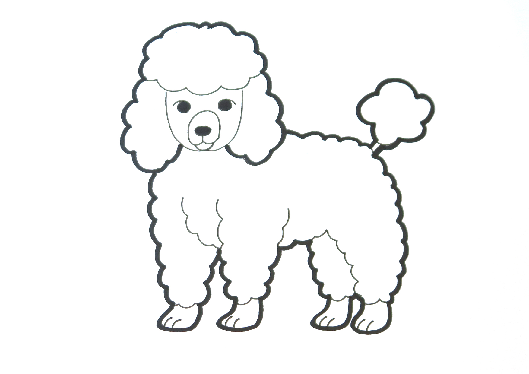 Poodle coloring template