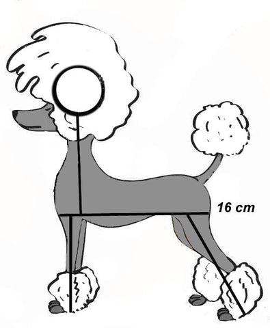 Poodle template â verusca walker