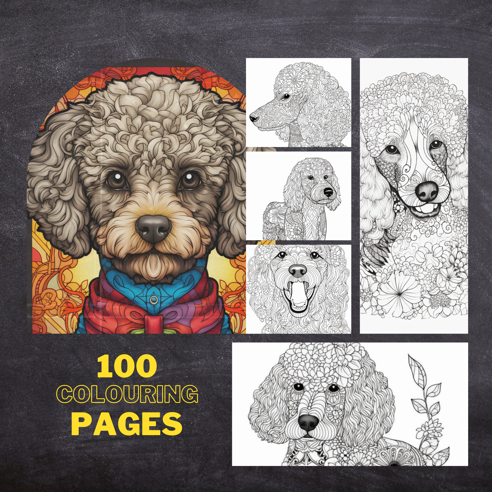 Poodle mandala colouring pages amazing patterns adult colouring book digital colouring printable page download now
