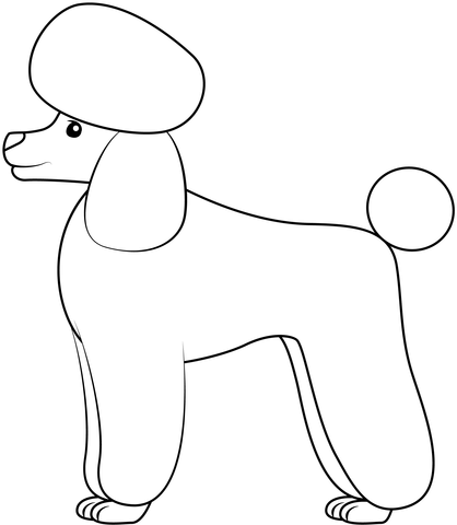 Poodle coloring page free printable coloring pages