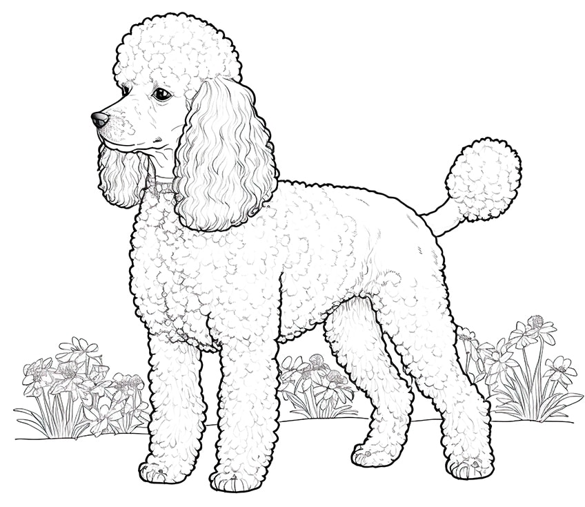 Dog coloring pages â coloring sheets for popular breeds