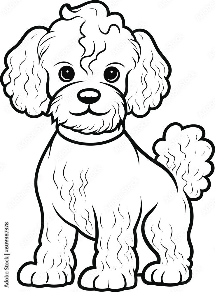 Poodle dog colouring book for kids vector illustration vector