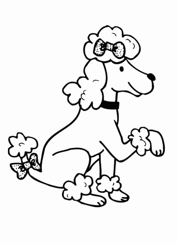 Poodle coloring pages