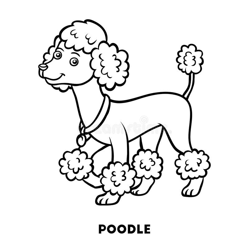 Poodle stock illustrations â poodle stock illustrations vectors clipart