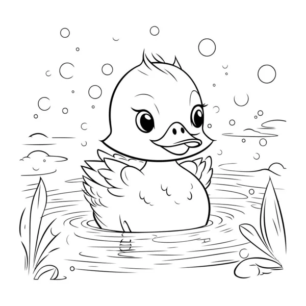 Coloring book pages duckling vector images