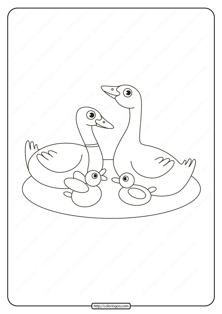 Printable duck family in the lake coloring page bird coloring pages coloring pages family coloring