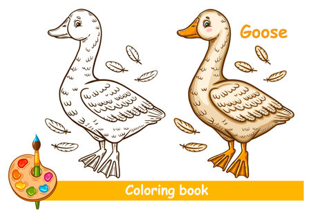 Duck coloring book stock illustrations cliparts and royalty free duck coloring book vectors