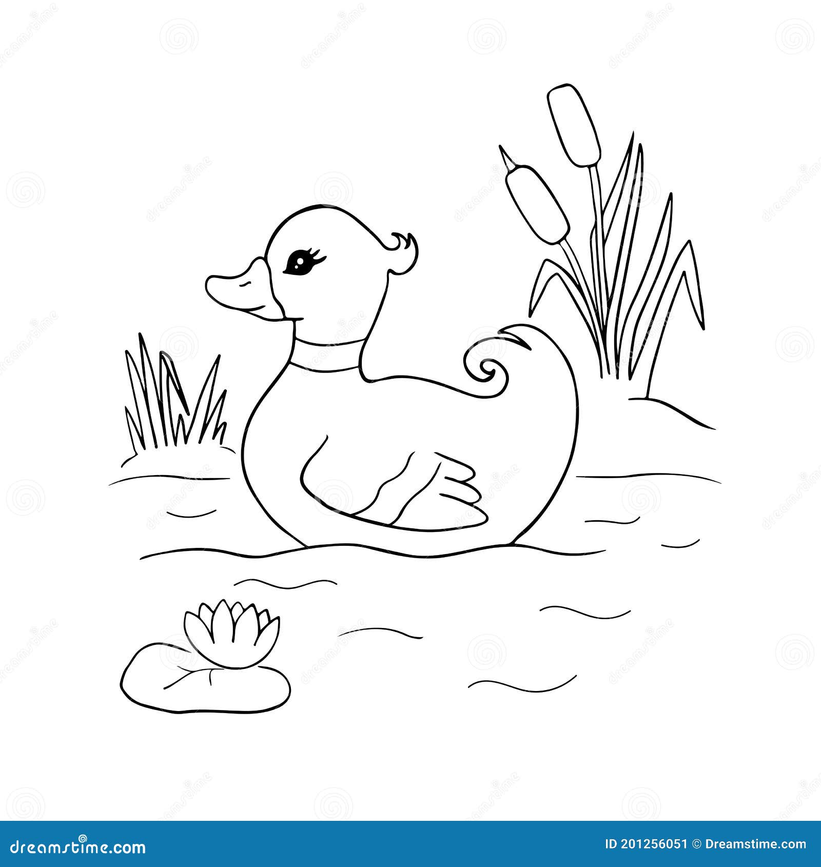 Duck coloring book stock illustrations â duck coloring book stock illustrations vectors clipart