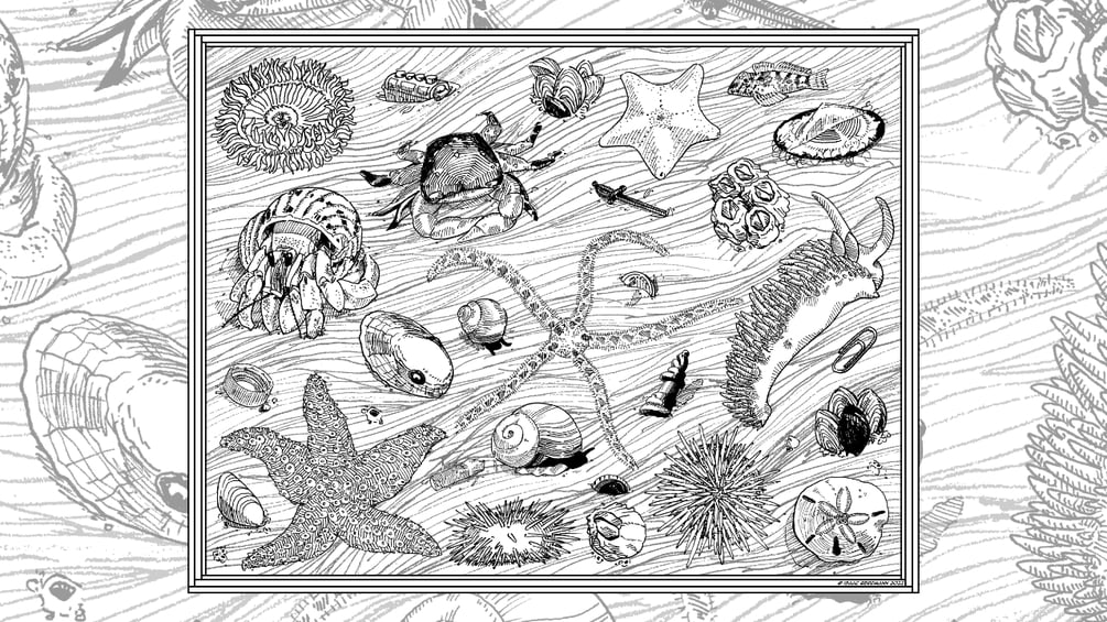 Coloring page
