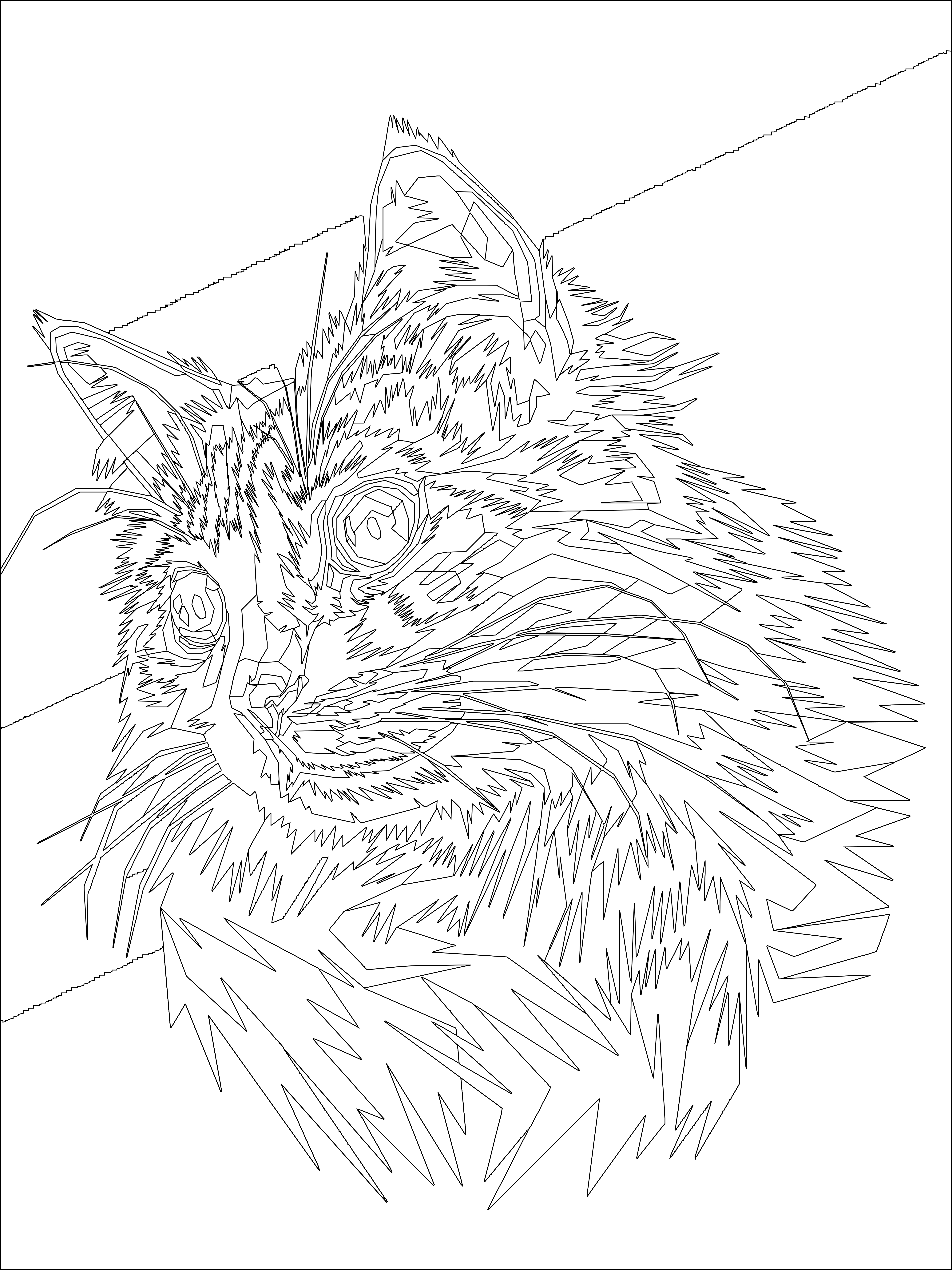 Cat pop