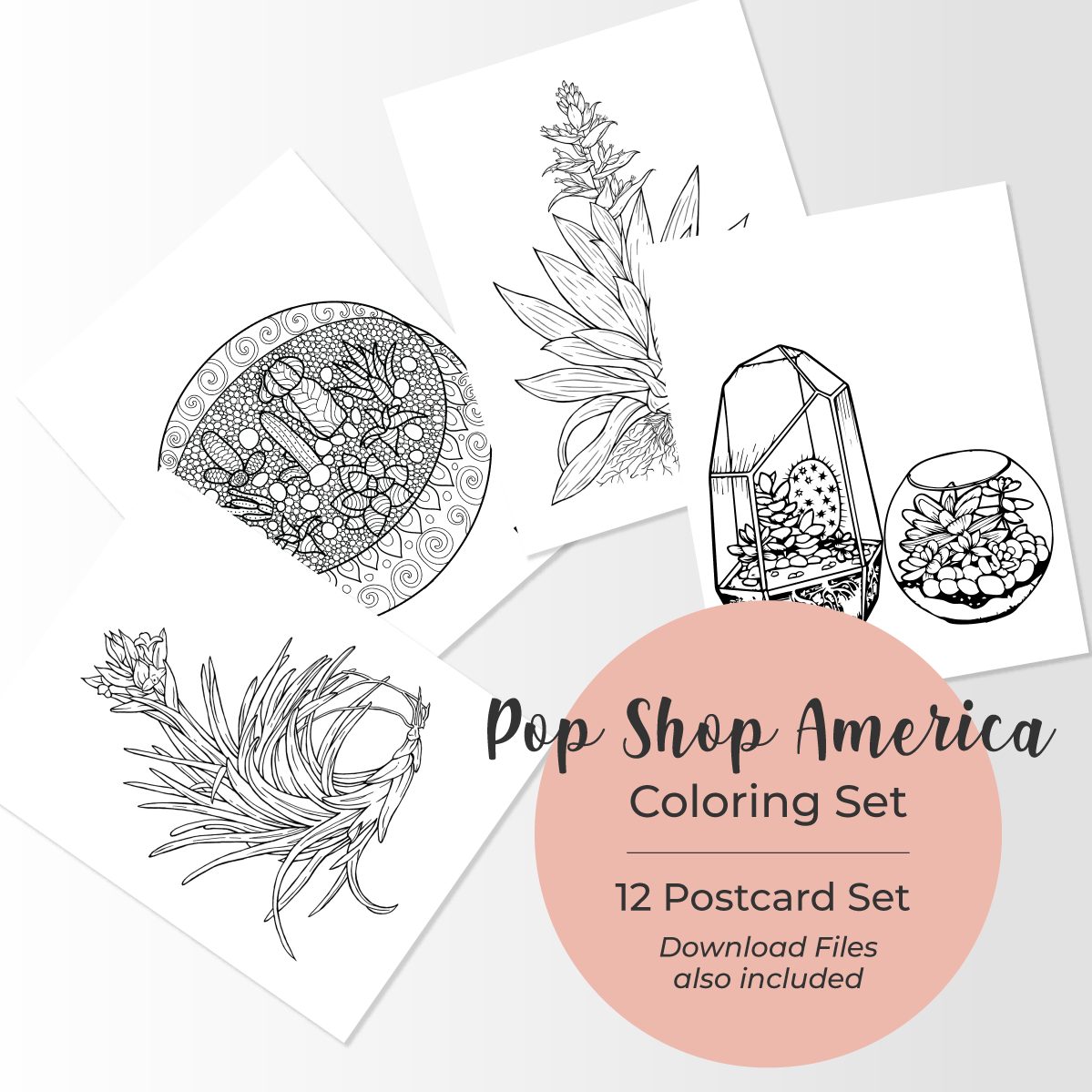 Cactus succulent adult coloring sheet set pop shop america