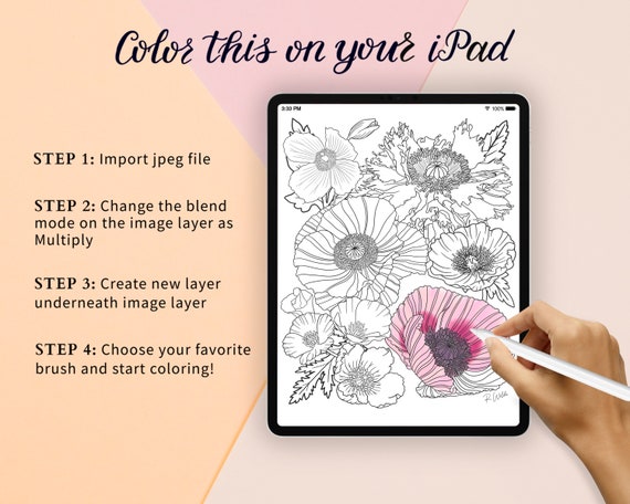 Poppy printable floral line art adult coloring page coloring for mental health stress and anxiety relief digital download