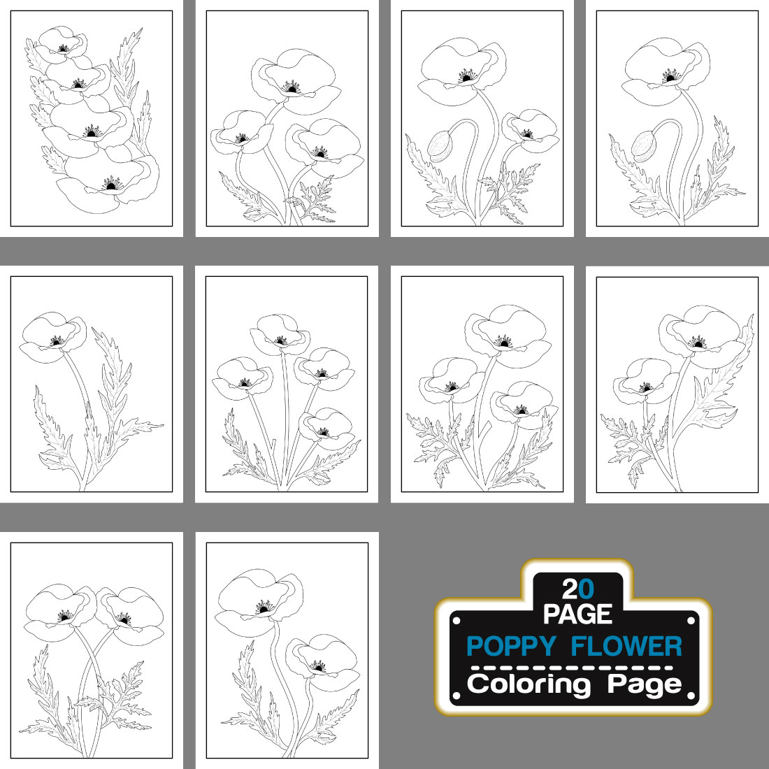 Poppy flower coloring page and book hand drawn line art illustration