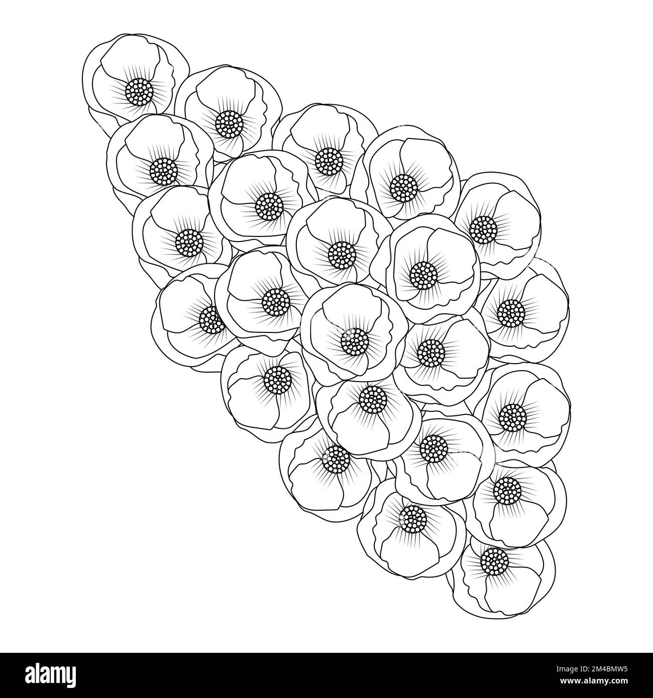 Poppy illustration of blossom flower coloring book page line art design of vector graphic design stock vector image art