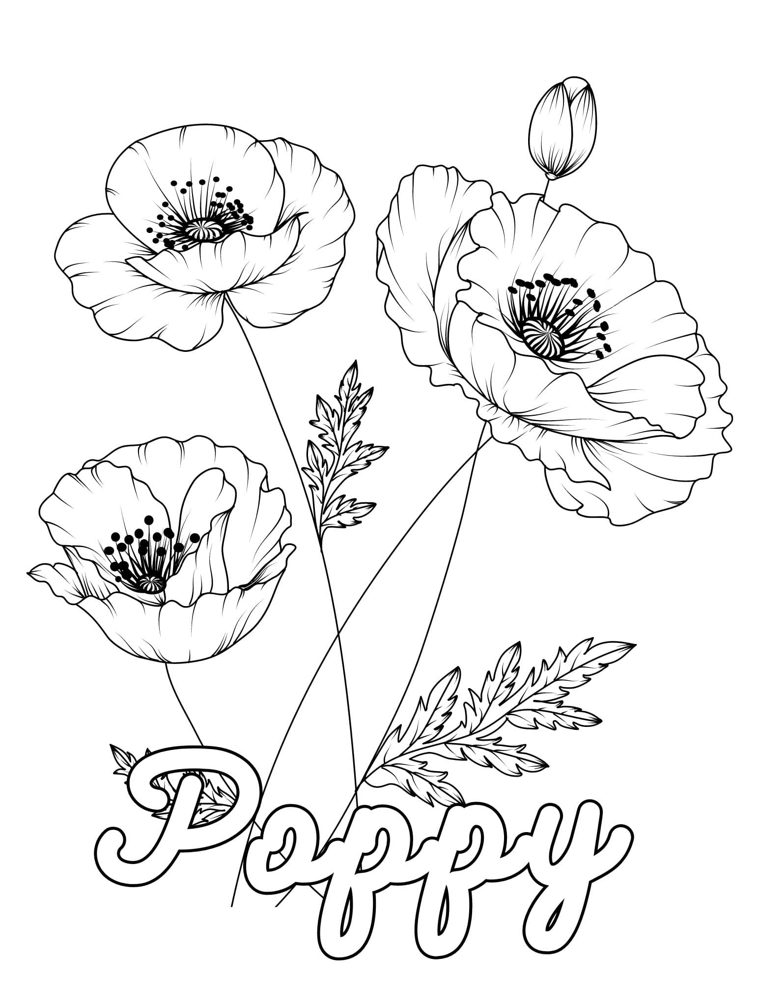 Stunning flower coloring pages for kids and adults