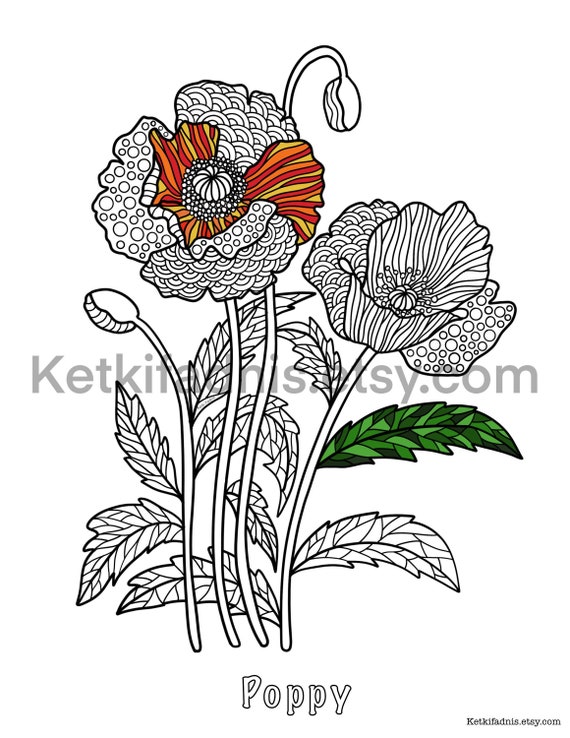 Poppy flower coloring page flower coloring page pdf download digital download coloring page zentangle