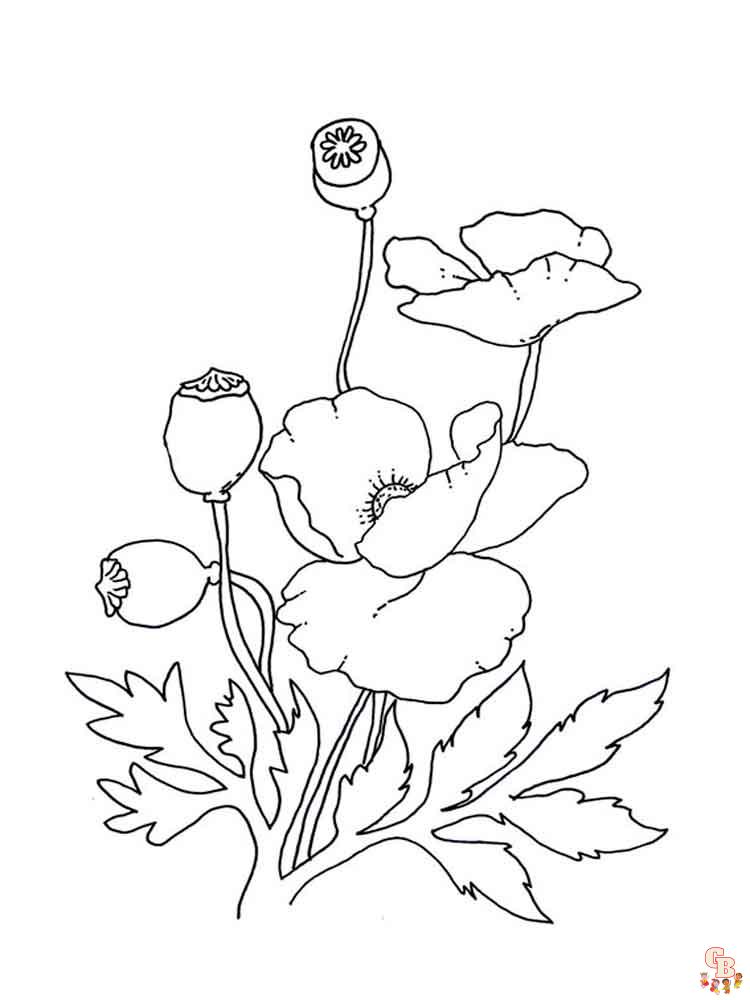 Poppies coloring pages printable free and easy options for kids