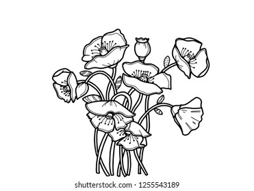 Poppies linearte driving coloring white background stock vector royalty free