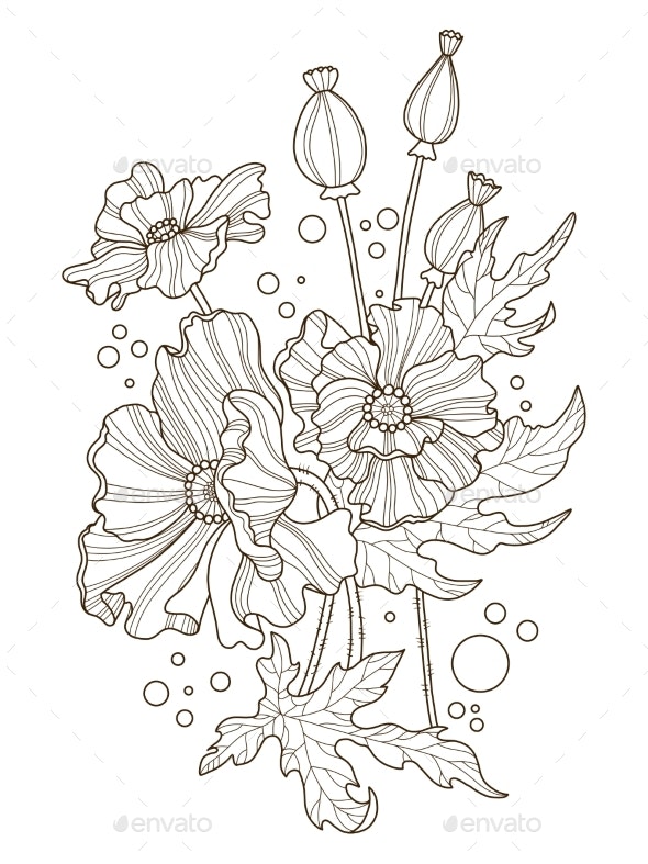 Poppy flowers coloring book vector illustration vectors