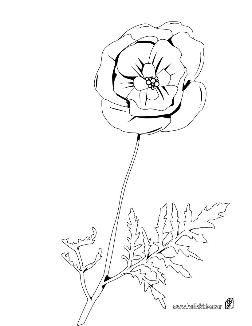 Poppy coloring pages