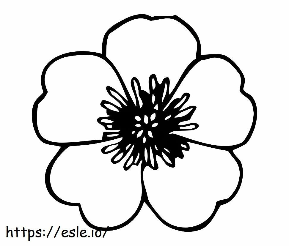 Poppy flower coloring page