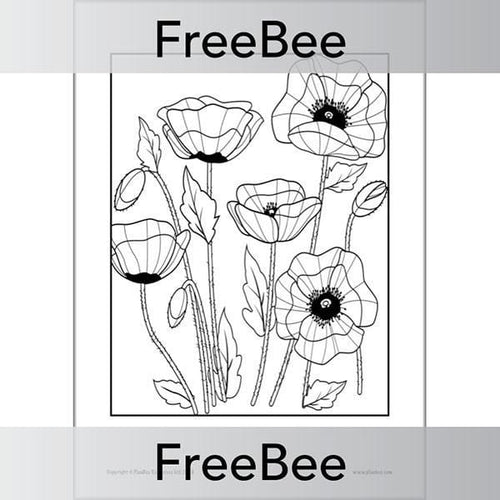 Free poppies colouring pages by