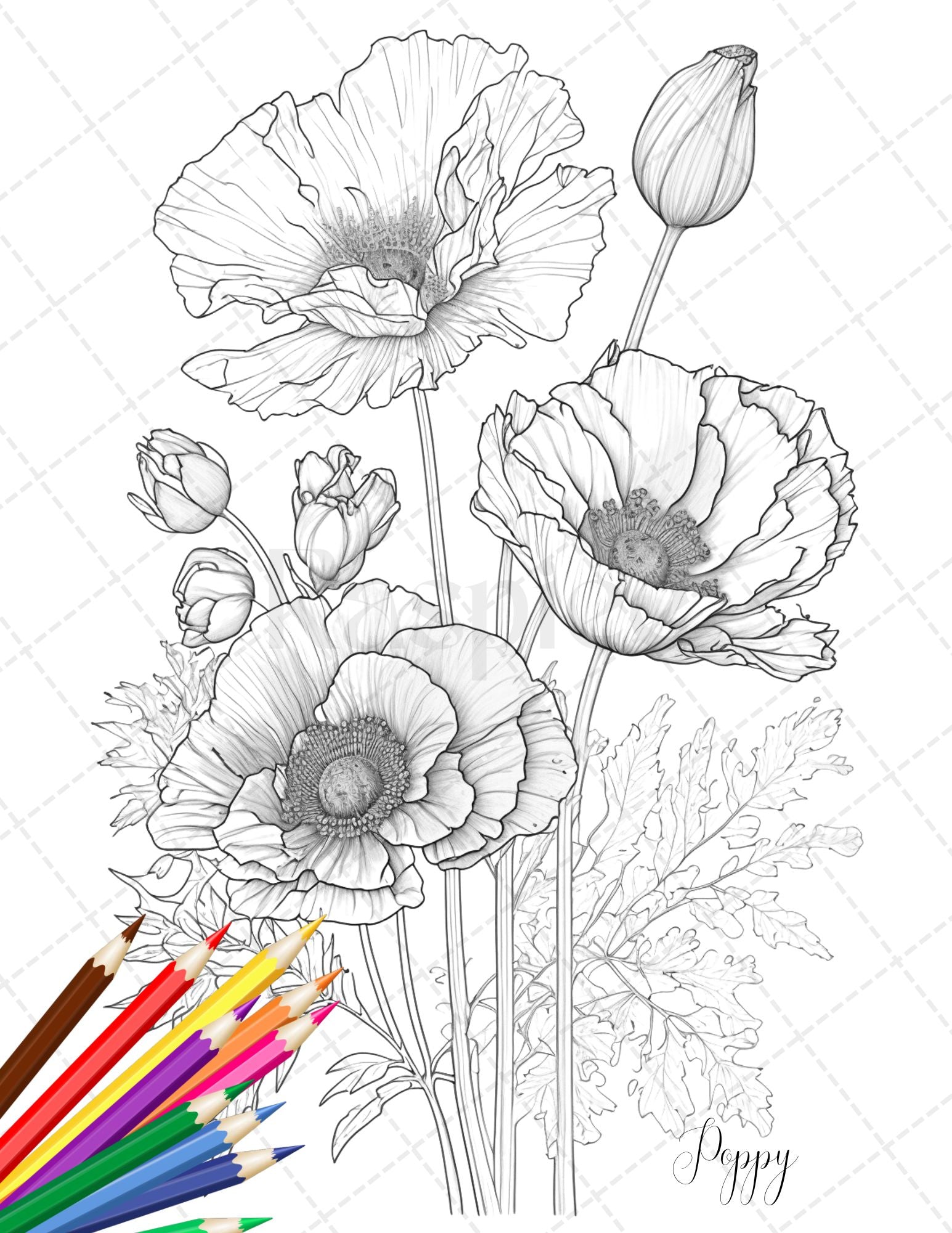 Botanical flowers printable coloring pages for adults floral grays â coloring