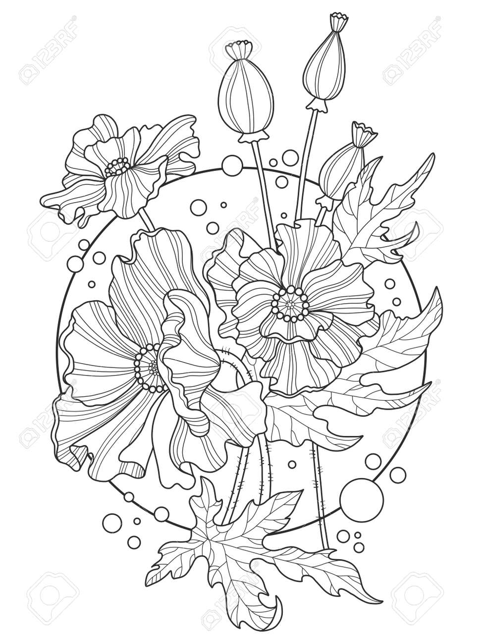 Poppy flowers coloring book vector illustration royalty free svg cliparts vectors and stock illustration image