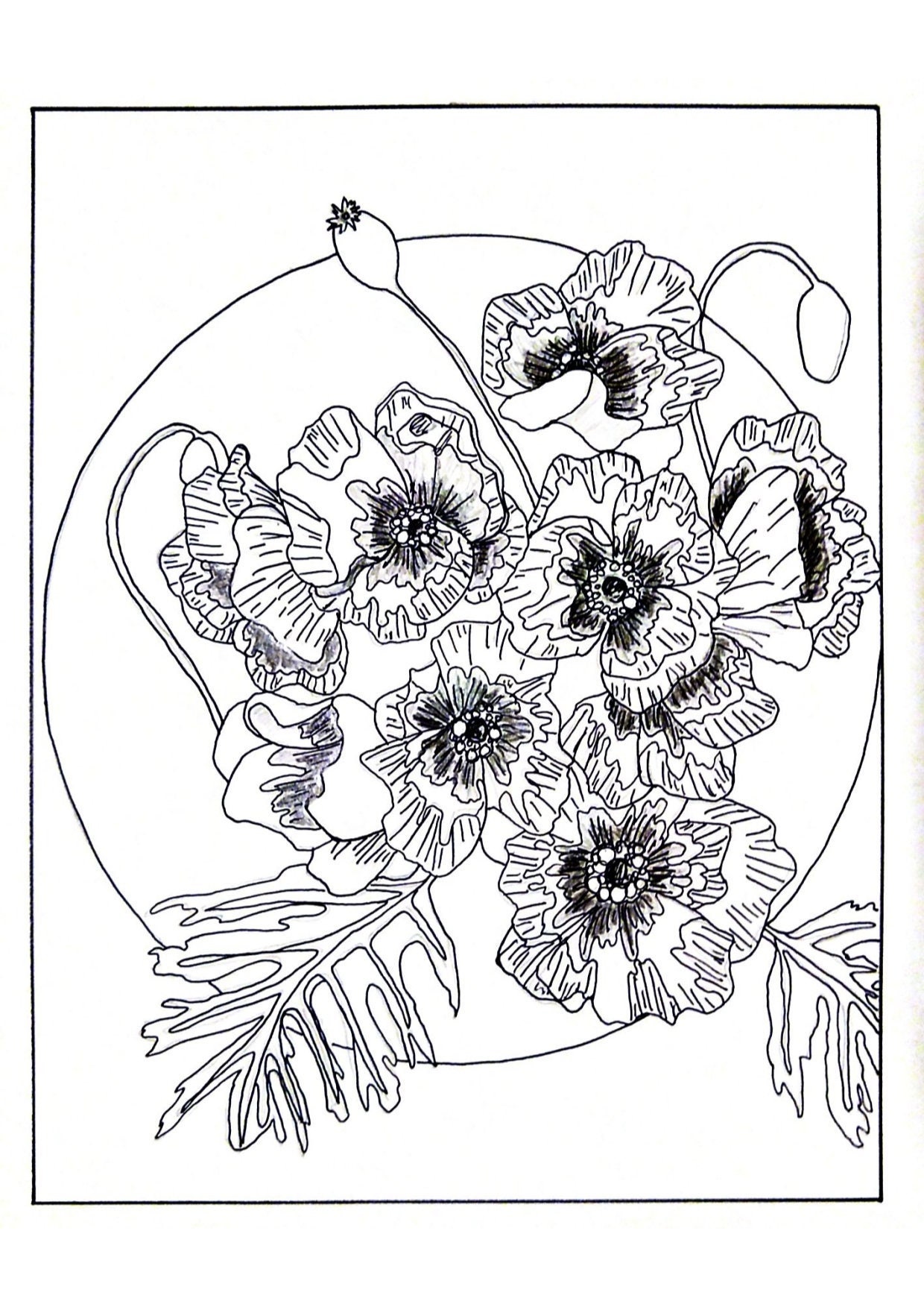 Poppy coloring page