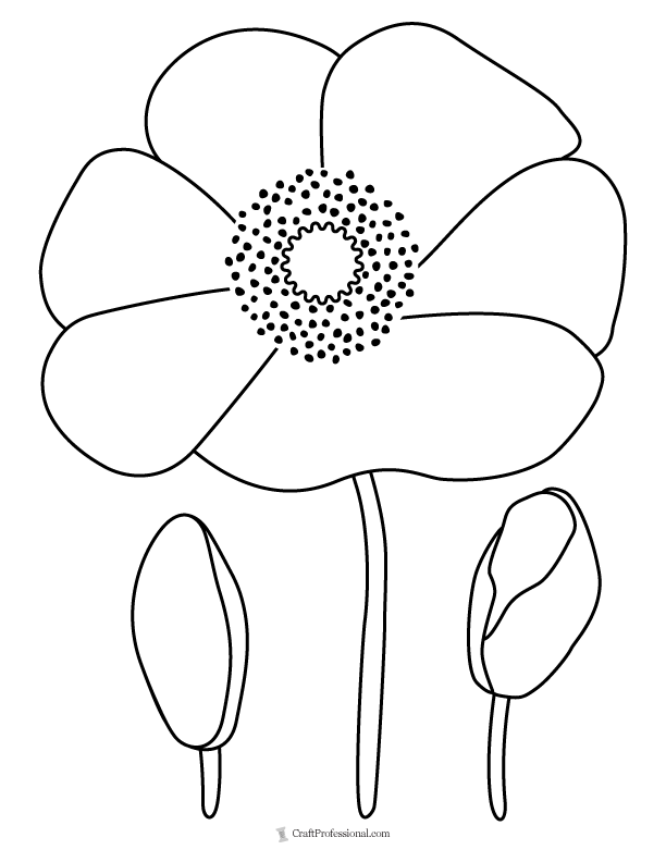 Flower coloring pages