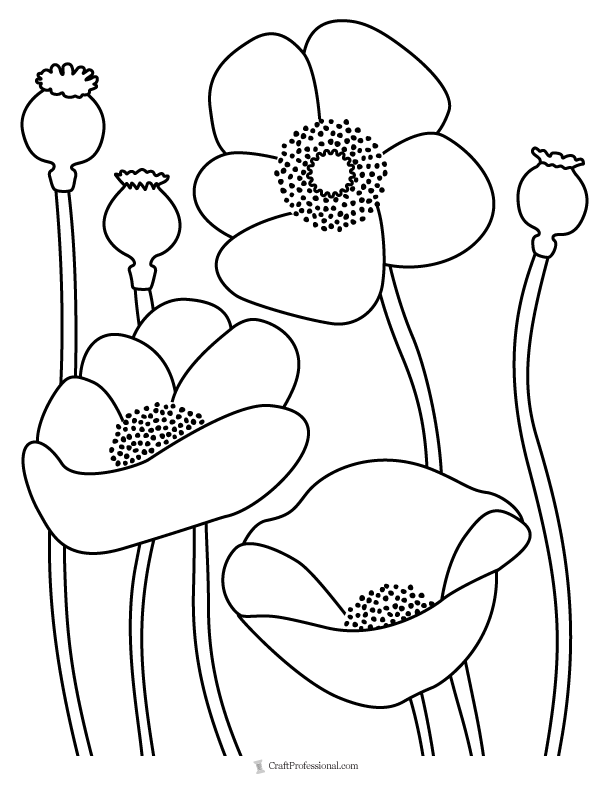 Flower coloring pages